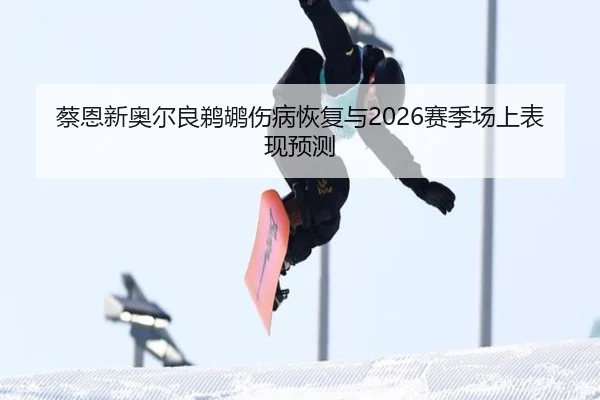 蔡恩新奥尔良鹈鹕伤病恢复与2026赛季场上表现预测
